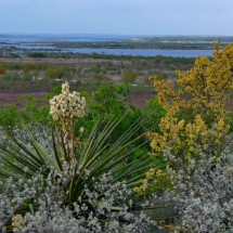 Amistad Reservoir seen from the hiking trail froom the Visitor Information Center
